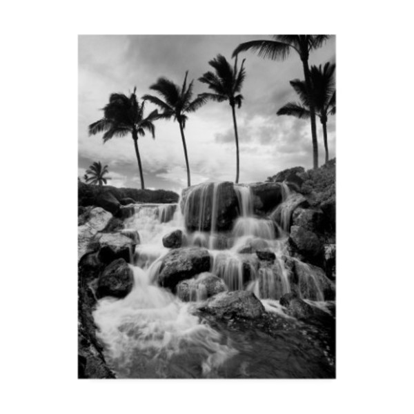 Trademark Fine Art Monte Nagler 'Hawaiian Falls Big Island' Canvas Art, 14x19 ALI44915-C1419GG